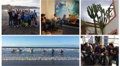 Surf Office: mit der ganzen Firma Richtung Strand?