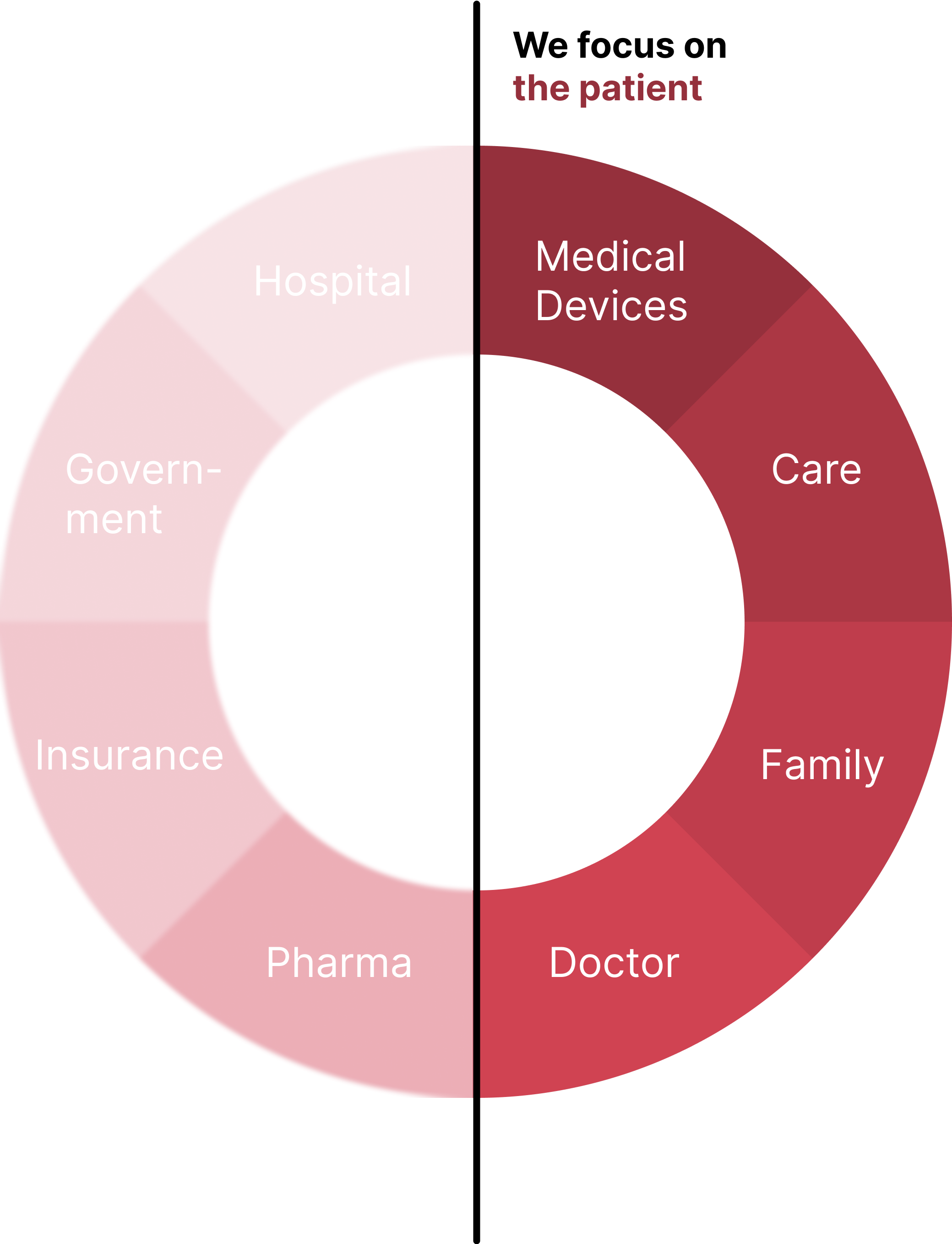 circle diagram overview of healthcare system and focus on patient